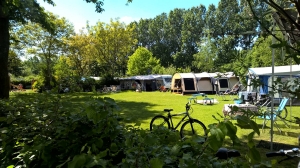 zwembad minicamping 't Vresselsbos in Nijnsel, Noord Brabant